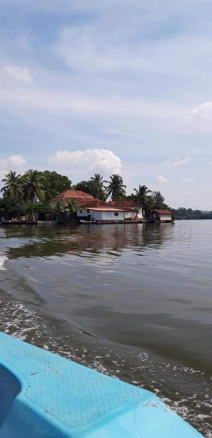 Rashmi Homestay Balapitiya Kültér fotó